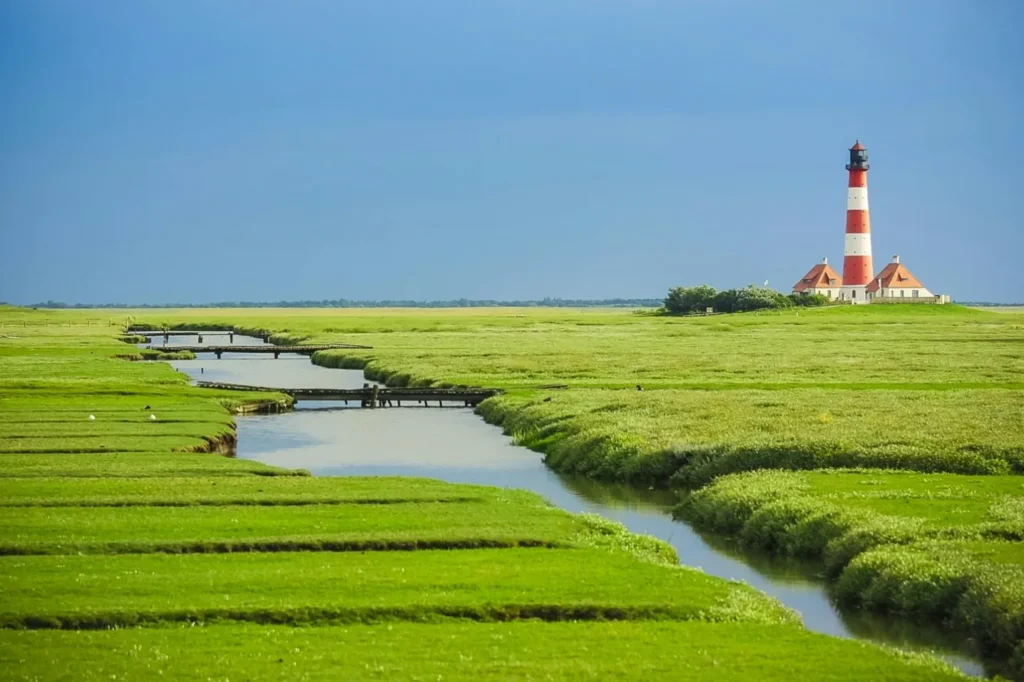 leuchtturm viel grün